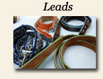Leads